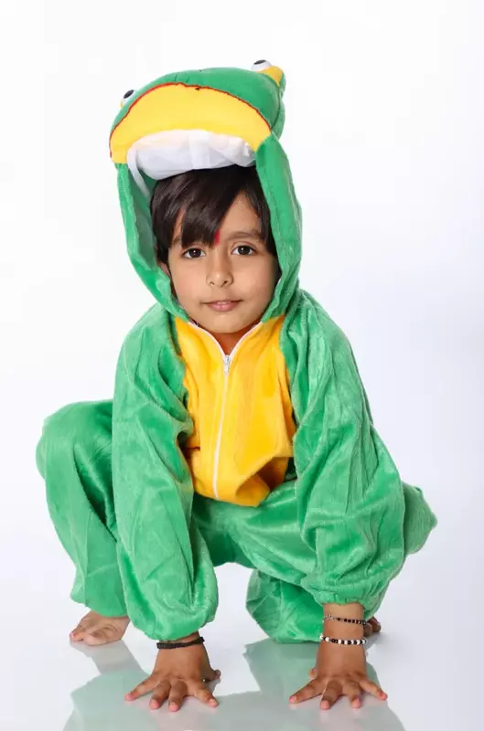 Frog Fancy Dress Costume For Kids
