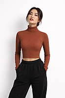 Ribbed Cropped Turtleneck Top