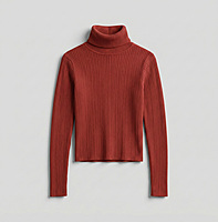 Ribbed Cropped Turtleneck Top