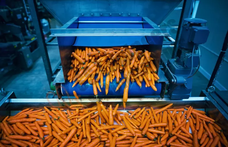 Packhouse Cleaning & Sanitation