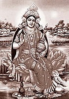 MAA LAXMI
