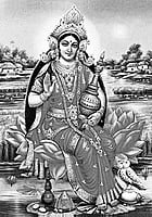 MAA LAXMI