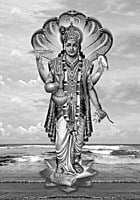 NARAYANA