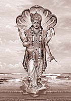 NARAYANA