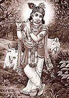SRI KRISHNA
