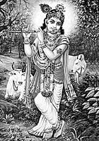 SRI KRISHNA