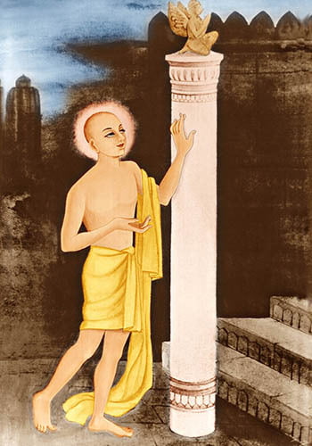 SRI CHAITANYA - 2