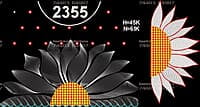 GC2355