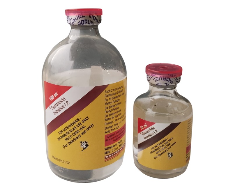 GENTAMYCIN INJ 100 ML