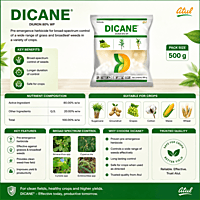 DICANE Herbicide (Diuron 80% WP) | Vetrivel Agro Services