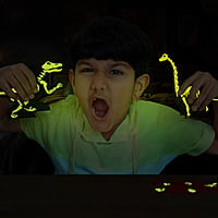 GID Dinos & Egg - Orange Bracio