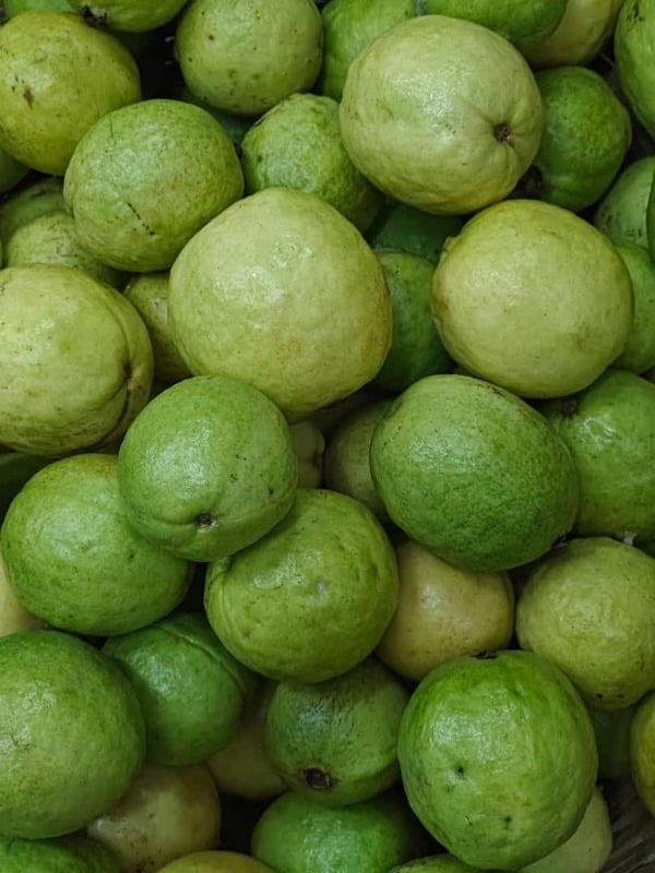 GUAVA 500 GMS