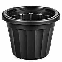 8 Inch Nursery Pot | ECSHA