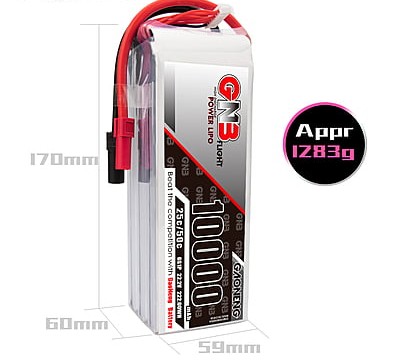 GNB 10000mAh 6S1P 22.2V 25C Lipo Battery