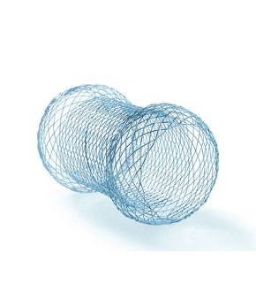 Gastrointestinal Stent (Disposable)