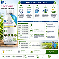 IPL Bactvipe Bio Fungicide (Pseudomonas fluorescens 2.0% AS) | Vetrivel Agro Services