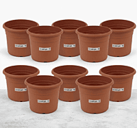 Terrace Garden Premium Kit | All-in-One Complete Gardening Setup
