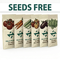 Terrace Garden Kit | Beginner-Friendly Complete Gardening Pack