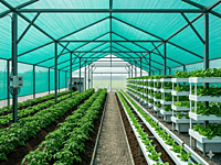 Agriculture Shade Green Net(3x50m)