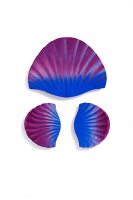 Shell Hair Clips Set for Women & Girls | Blue Pink Mermaid Style | Stylish Side Clips (Pack of 3)