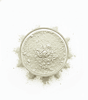 Instant Green Gram Dosa Mix with Moringa powder