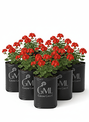 UV Stabilize Poly LDPE Grow Bag Back(Pack of 10, 16x16x30 cm)