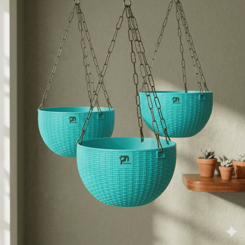 Hanging Basket (6" size, Set of 6)