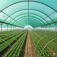 Agriculture Shade Green Net(3x50m)
