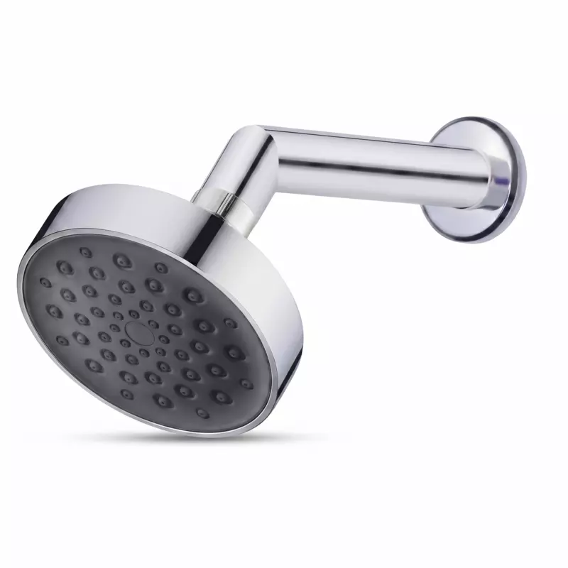 Alexa 4" Shower with Arm