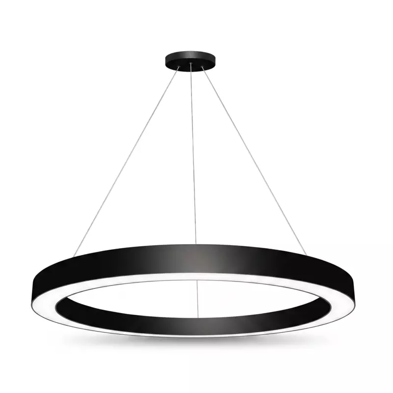 Round Ring LED Ceiling Light (Black)
