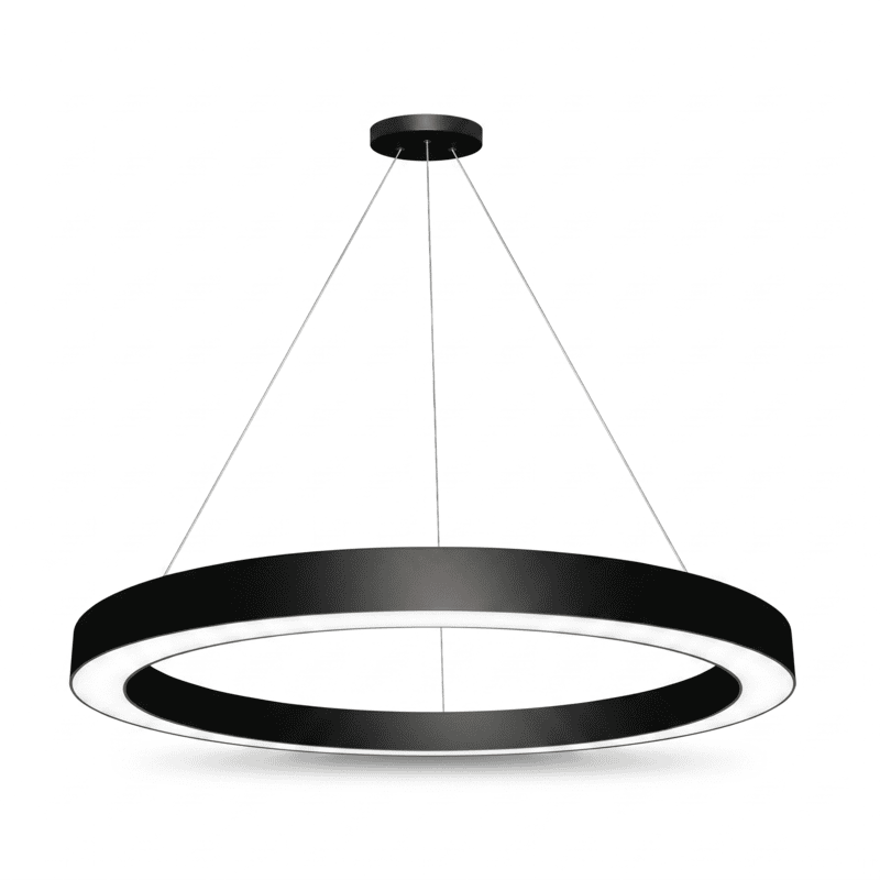 Round Ring LED Ceiling Light (Black)