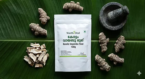 rth2Deal Kerala Vayambu Root 100g — whole dried Acorus calamus rhizome with granite rubbing stone