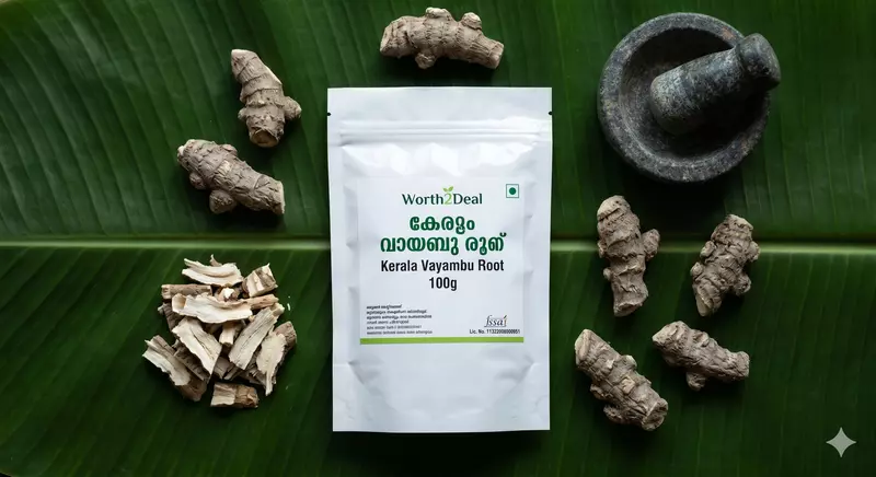 rth2Deal Kerala Vayambu Root 100g — whole dried Acorus calamus rhizome with granite rubbing stone