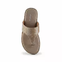 Amazing Slipper