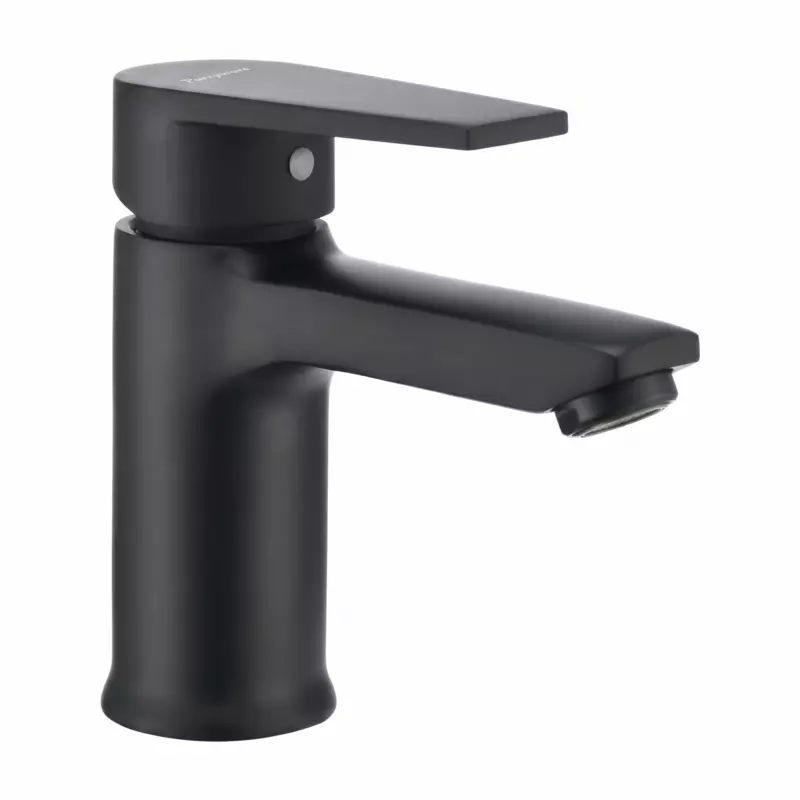 Praseo Matte Black Single Lever Basin Mixer