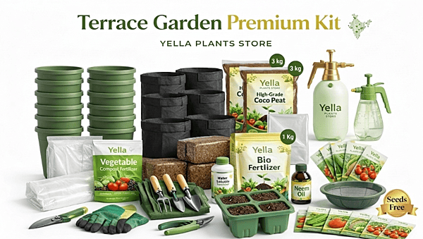Terrace Garden Premium Kit | All-in-One Complete Gardening Setup