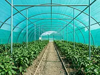 Agriculture Shade Green Net(3x50m)