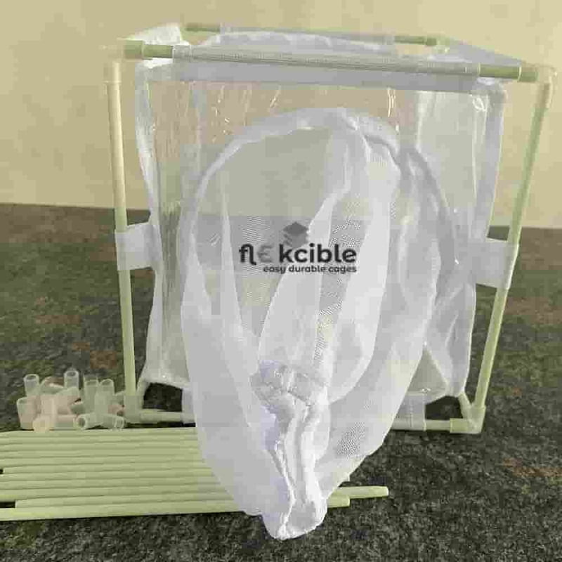 Insect Rearing Cage 4S2222