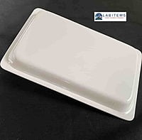 Larval sorting Tray Small Acrylic Based