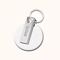 Geonix 8GB USB 2.0 Pendrive, Silver, Keyring Design-GXPD8GB