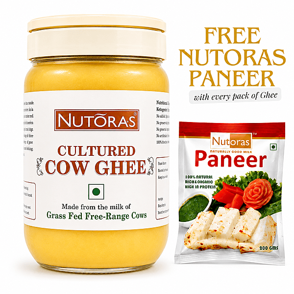 Nutoras Cultured Pure Cow Ghee Plan 1L(Free Paneer)