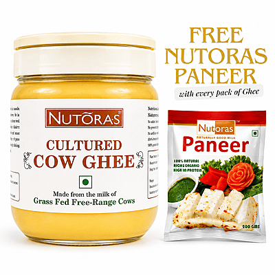 Nutoras Cultured Pure Cow Ghee Plan 1L(Free Paneer)