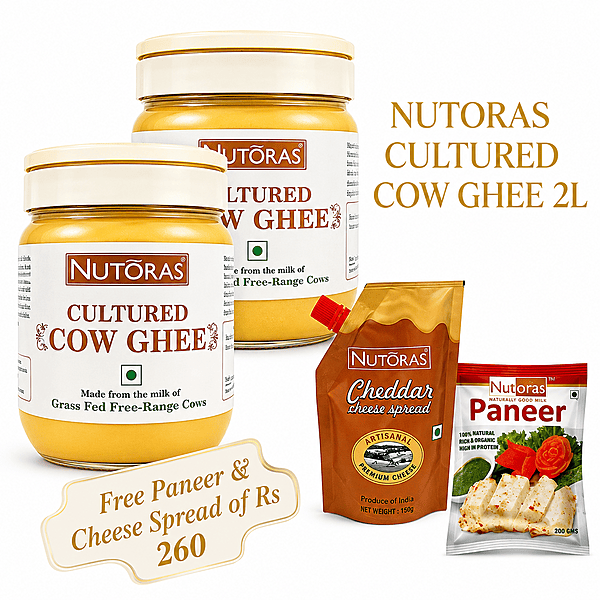 Nutoras Cultured Pure Cow Ghee Plan 2L(Free Paneer and Cheese Spread) Nutoras Cultured Pure Cow Ghee Plan 2L(Free Paneer and Cheese Spread)