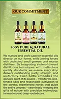 Essential Oil Gift Box - 001