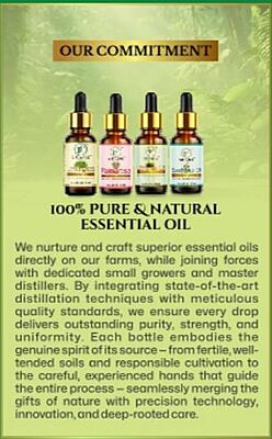 Essential Oil Gift Box - 001