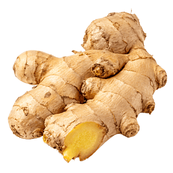 అల్లం | Ginger అల్లం | Ginger