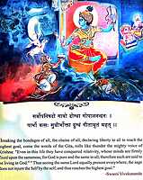 Gita Darshanam