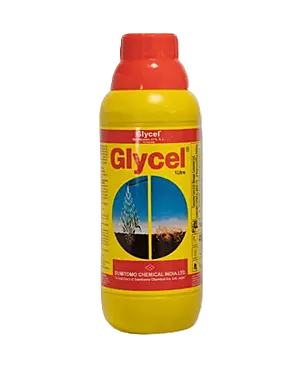 Glycel (Box of 10 bottles)