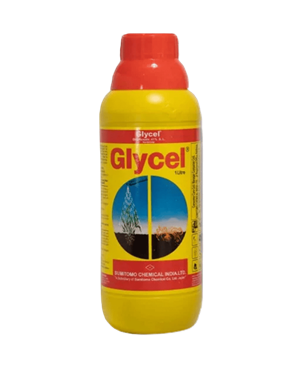 Glycel (Box of 10 bottles)