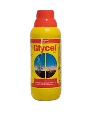 Glycel (Box of 10 bottles)